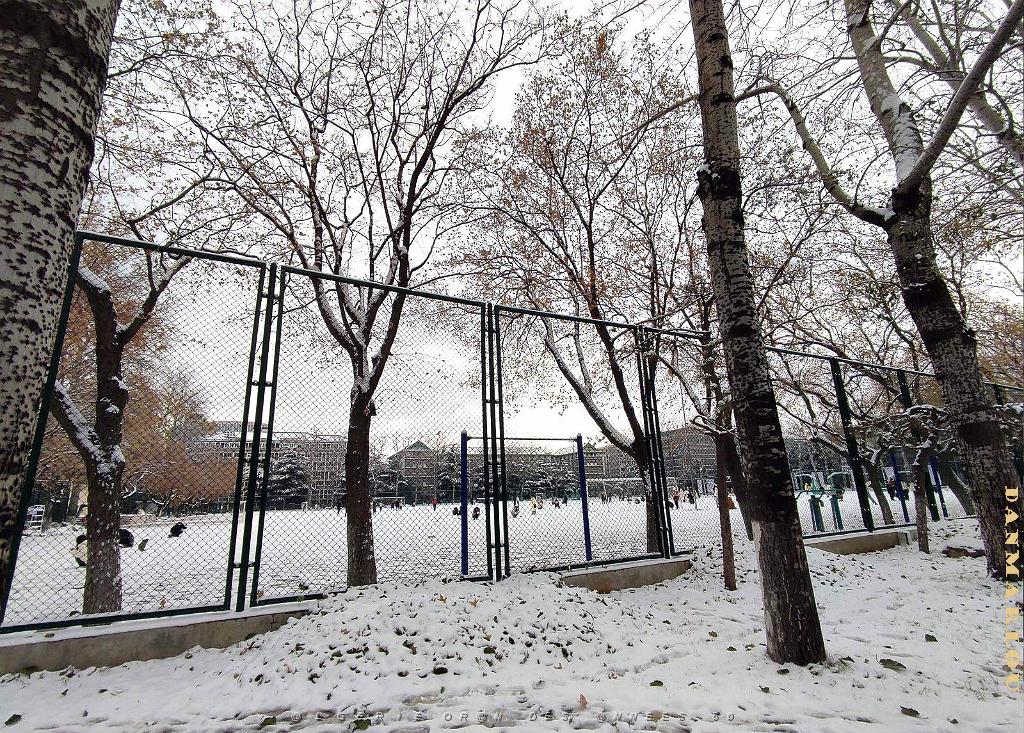 2023 12 PEKIN- UNIVERSITE LANGUES ETRANGERES SOUS LA NEIGE (9).jpg
